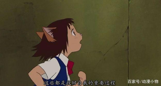 猫的报恩：人生总要经历一场冒险，也许变身为猫，但终会找回自我