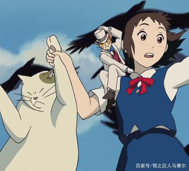 适合冬天看的治愈系动漫：猫的报恩，小春遭遇的那些温馨往事