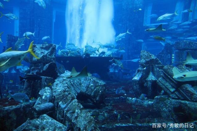 从不喜欢到喜欢再到感激——迪拜