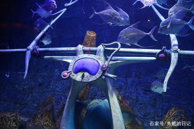 从不喜欢到喜欢再到感激——迪拜