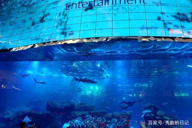 从不喜欢到喜欢再到感激——迪拜
