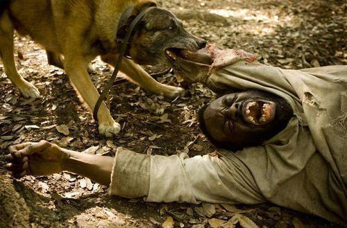 盘点全球观众最喜欢的9部电影，它们有哪些令人感动的地方