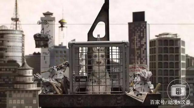 这部评分高达8.5的动画正在热映，但大部分人根本没看懂