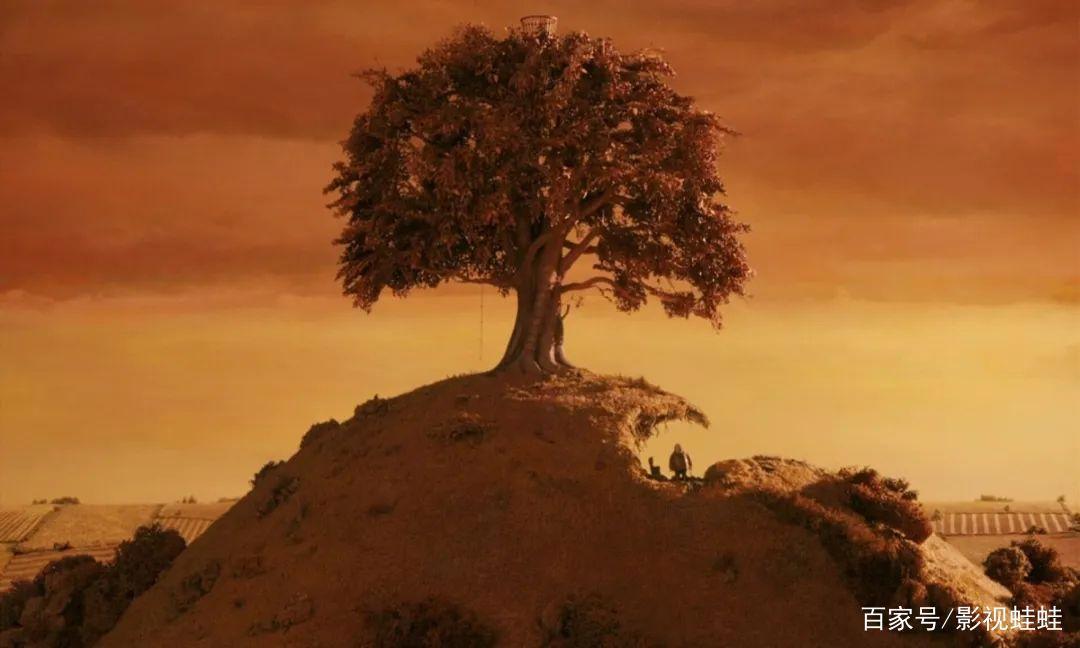 《了不起的狐狸爸爸》：狐狸的中年危机竟然是无法偷鸡