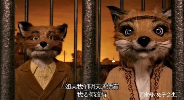 暖心剧场：老少皆宜，雅俗共赏《了不起的狐狸爸爸》