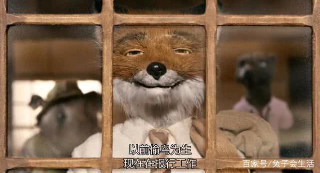 暖心剧场：老少皆宜，雅俗共赏《了不起的狐狸爸爸》