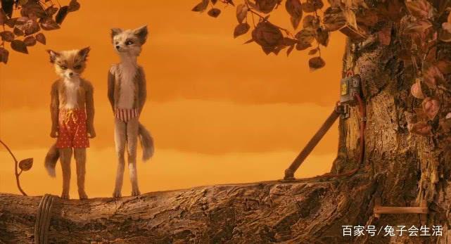 暖心剧场：老少皆宜，雅俗共赏《了不起的狐狸爸爸》