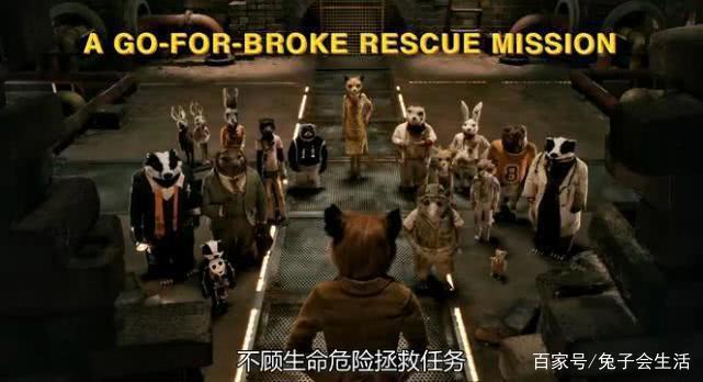 暖心剧场：老少皆宜，雅俗共赏《了不起的狐狸爸爸》