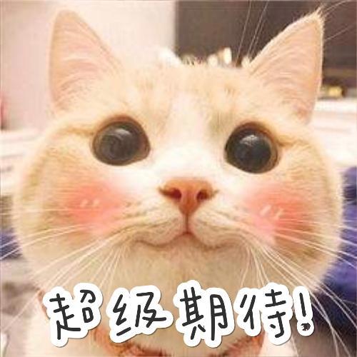 《猪猪侠》第17部即将开播？！它的“神秘幕后”竟然是这样！