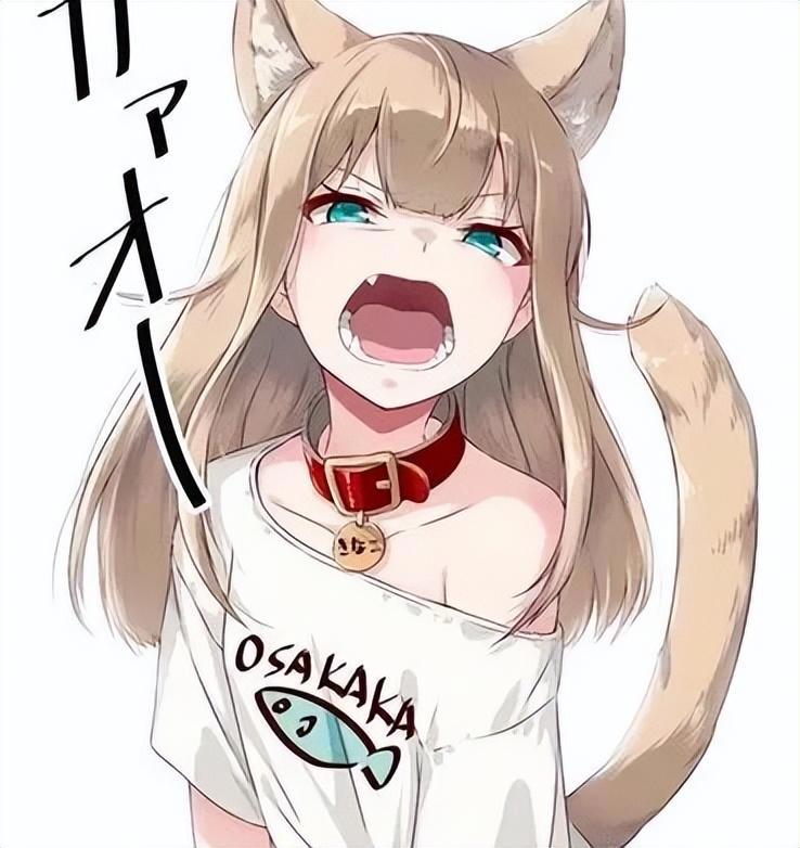 到底什么是FURRY？