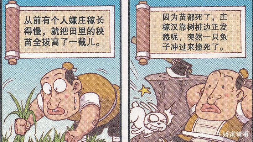 星太奇：奋豆道出“龟兔赛跑”背后真相，乌龟原来是这样获胜的？