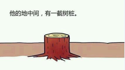 毁童年系列《龟兔赛跑》，结局真的出乎意料