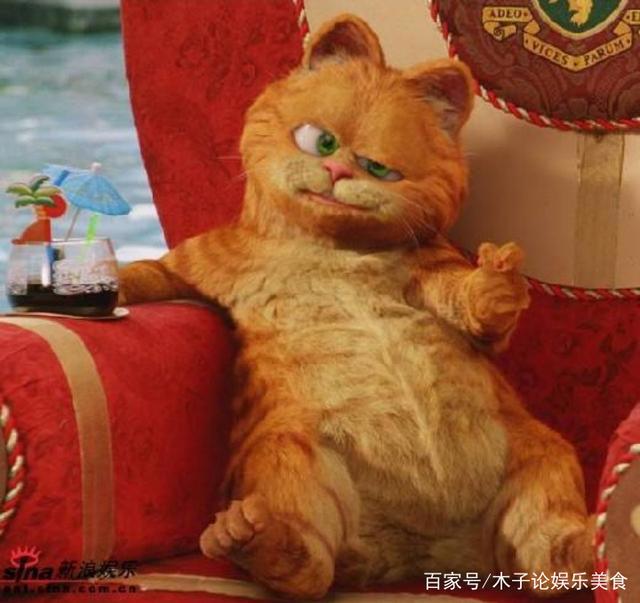 关于“猫”的动画片，你看过几个？