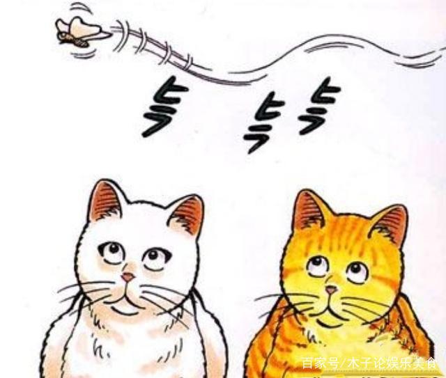 关于“猫”的动画片，你看过几个？