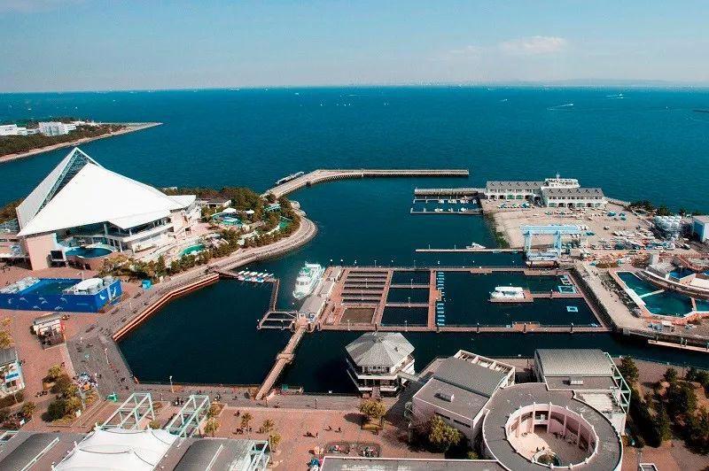 1500只皮卡丘惊现日本，还是活的？