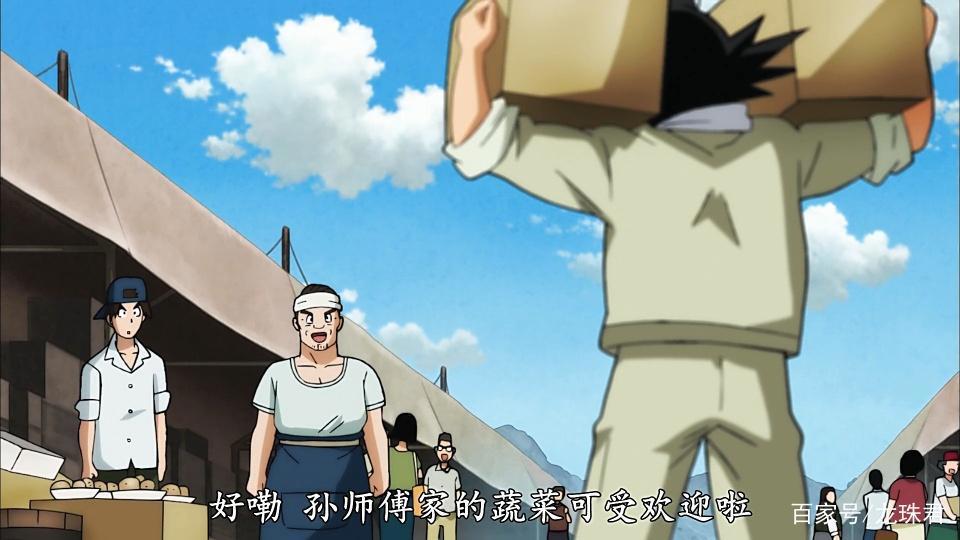 《龙珠》龙战士除了正常修行外，还有什么副职业养家糊口