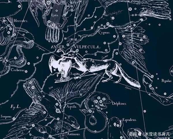 关于《不一样的卡梅拉》，4个问题及阅读细节，这篇文章供参考