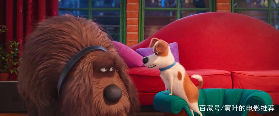 兔子和狗合力开汽车，脑洞大开的动漫电影，你的宠物会这样吗？