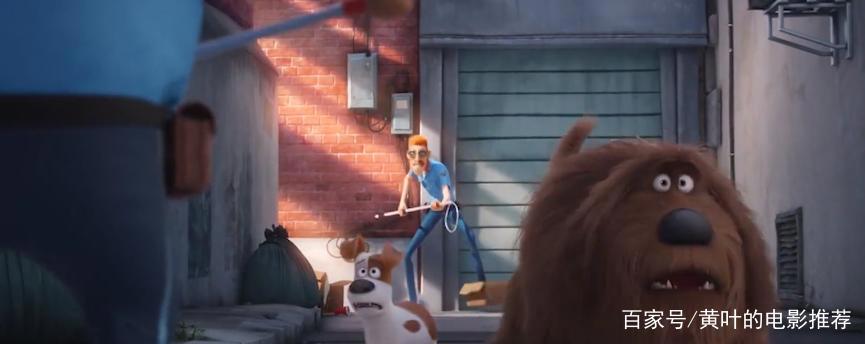 兔子和狗合力开汽车，脑洞大开的动漫电影，你的宠物会这样吗？