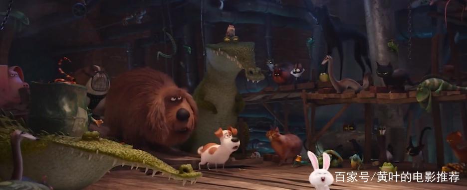 兔子和狗合力开汽车，脑洞大开的动漫电影，你的宠物会这样吗？