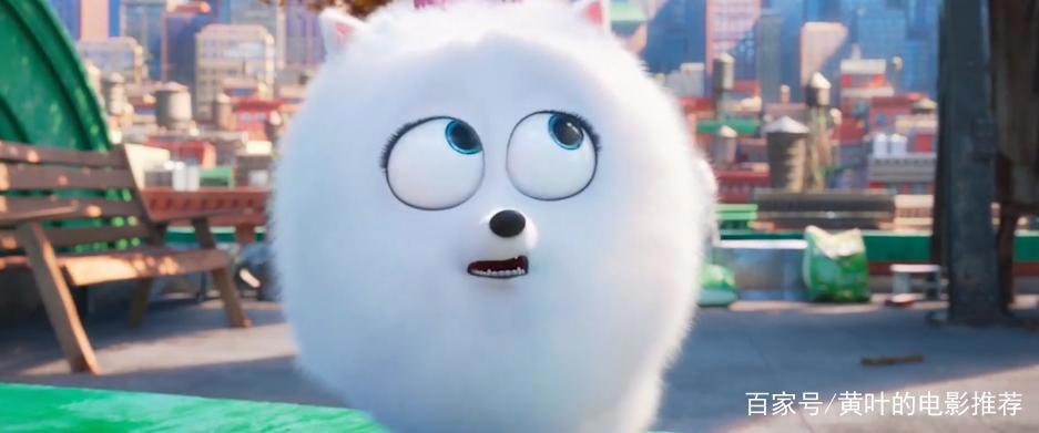 兔子和狗合力开汽车，脑洞大开的动漫电影，你的宠物会这样吗？