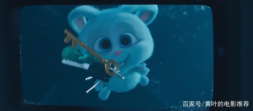 兔子和狗合力开汽车，脑洞大开的动漫电影，你的宠物会这样吗？