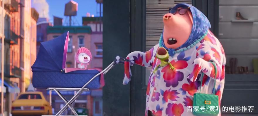 兔子和狗合力开汽车，脑洞大开的动漫电影，你的宠物会这样吗？