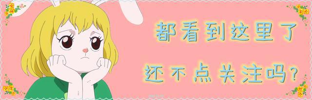 海贼王到目前为止的十六个篇章，真正的海贼篇章其实只有两个