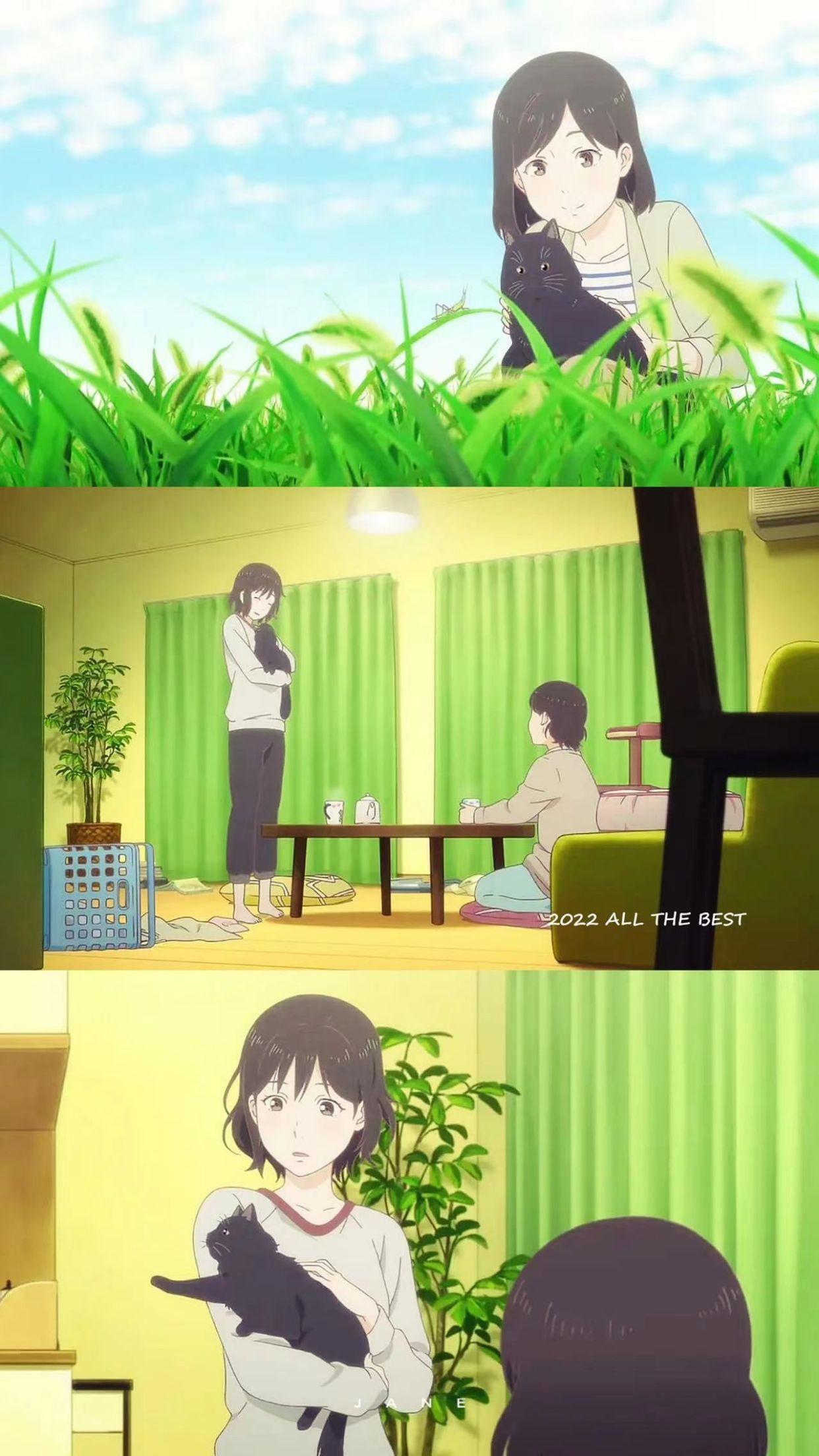 新海诚系列动漫｜每一帧都很精美，可以做壁纸的那种你看过几部