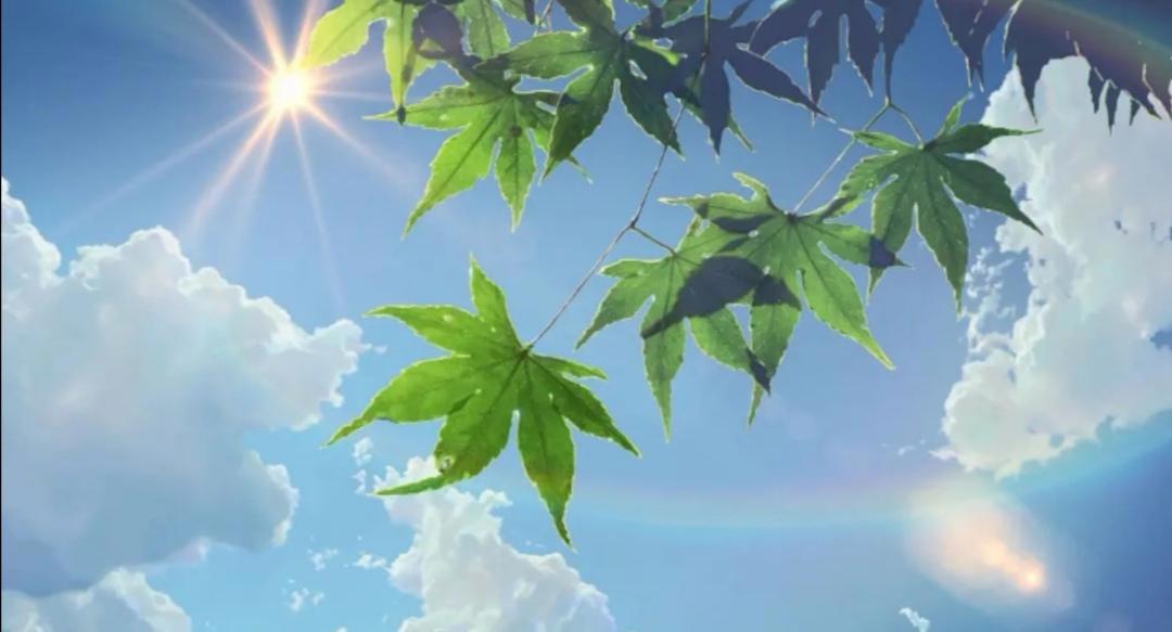 新海诚不仅有少年的爱情故事，还有那些让人难以忘怀的美景