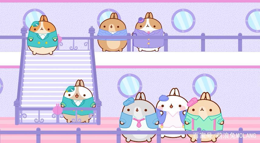 “萌浪兔”身世之谜大揭秘