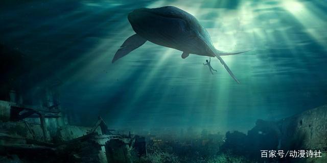 大鱼海棠：暌违十二年的动漫神作，为何会跌落神坛