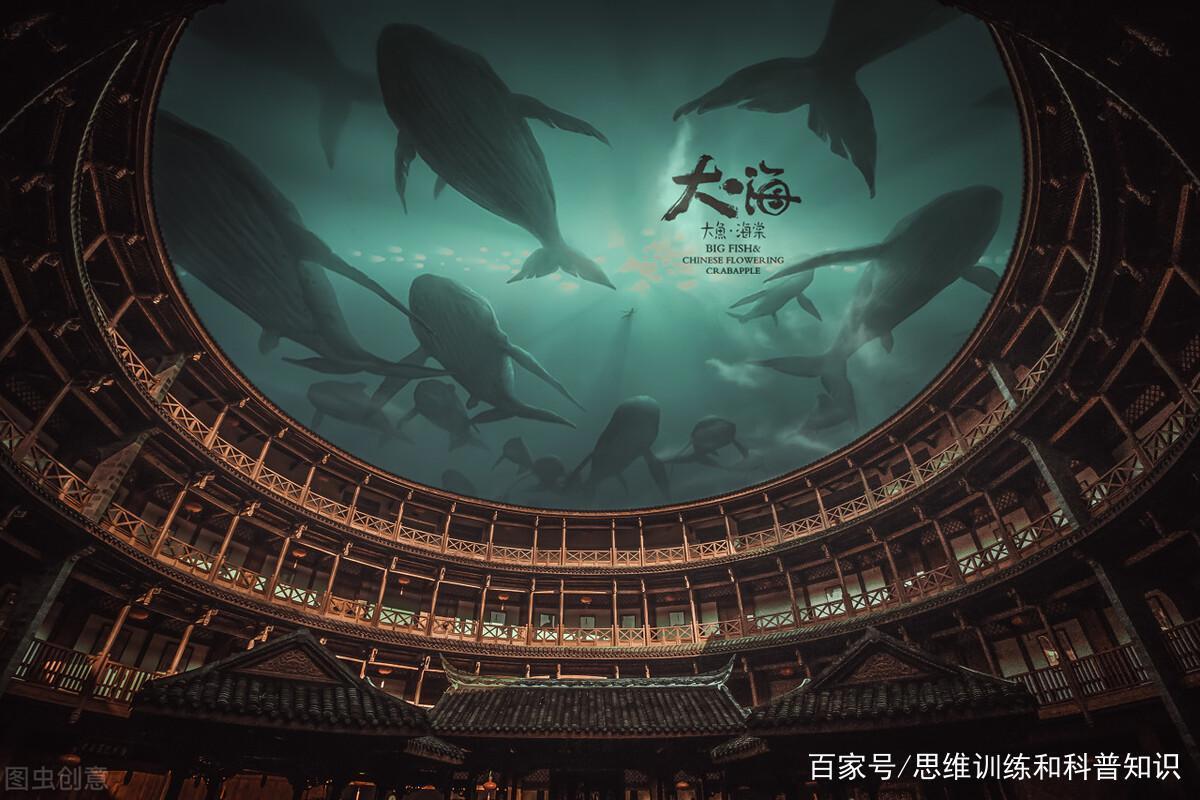 电影《大鱼海棠》中那些让人心疼的名句