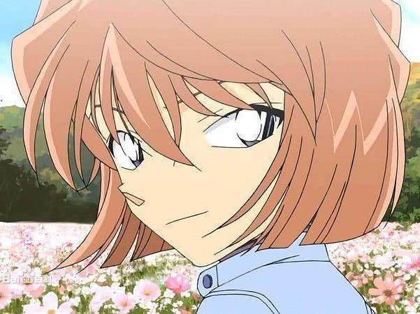 连载十年之久的动漫，柯南还没和黑衣组织决斗，海贼依旧热血