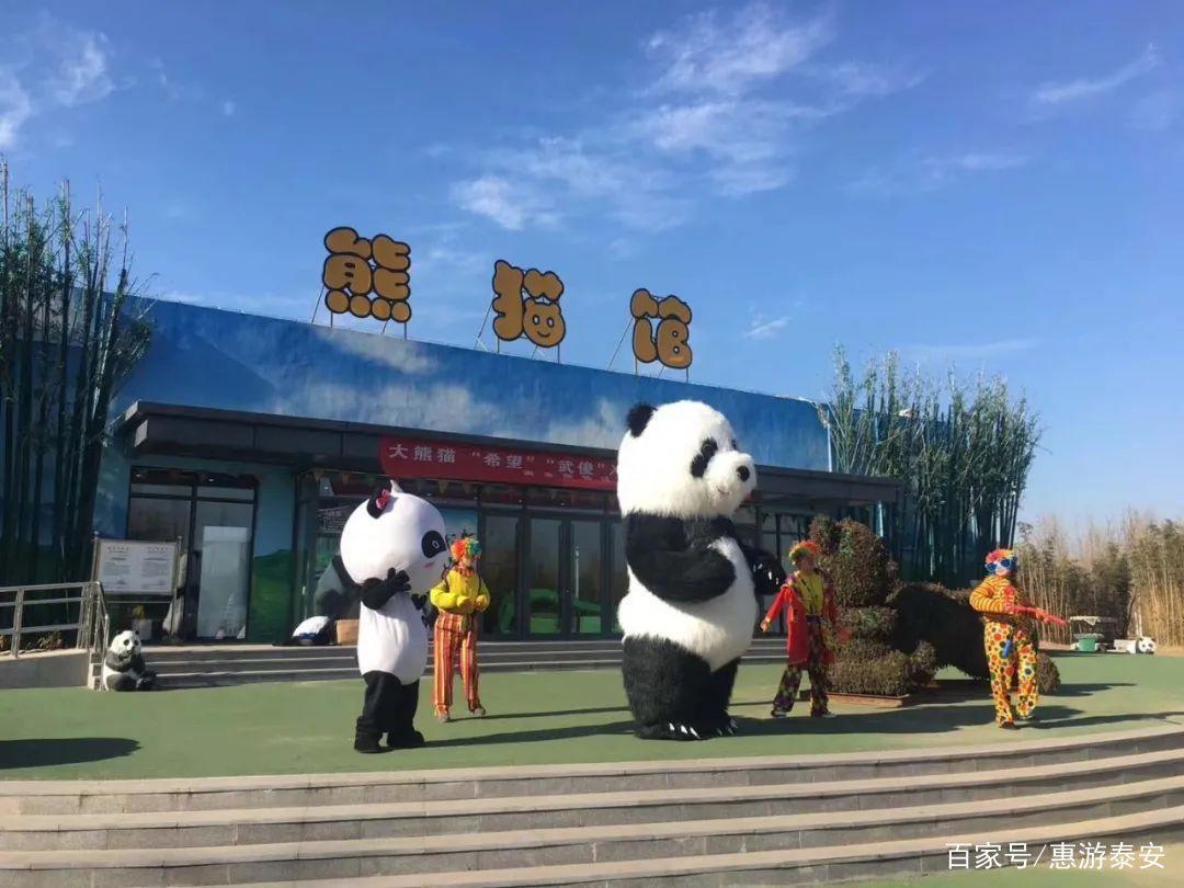 泰山天颐湖景区网红动漫嘉年华·十一震撼来袭！