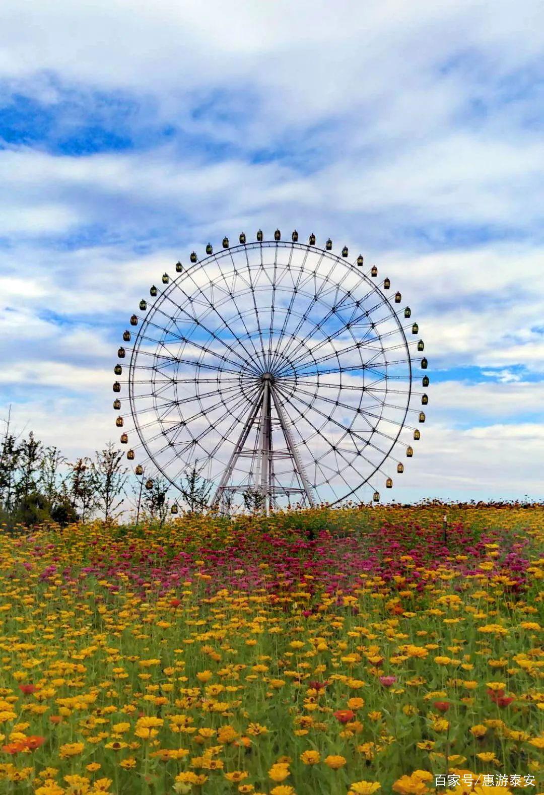 泰山天颐湖景区网红动漫嘉年华·十一震撼来袭！