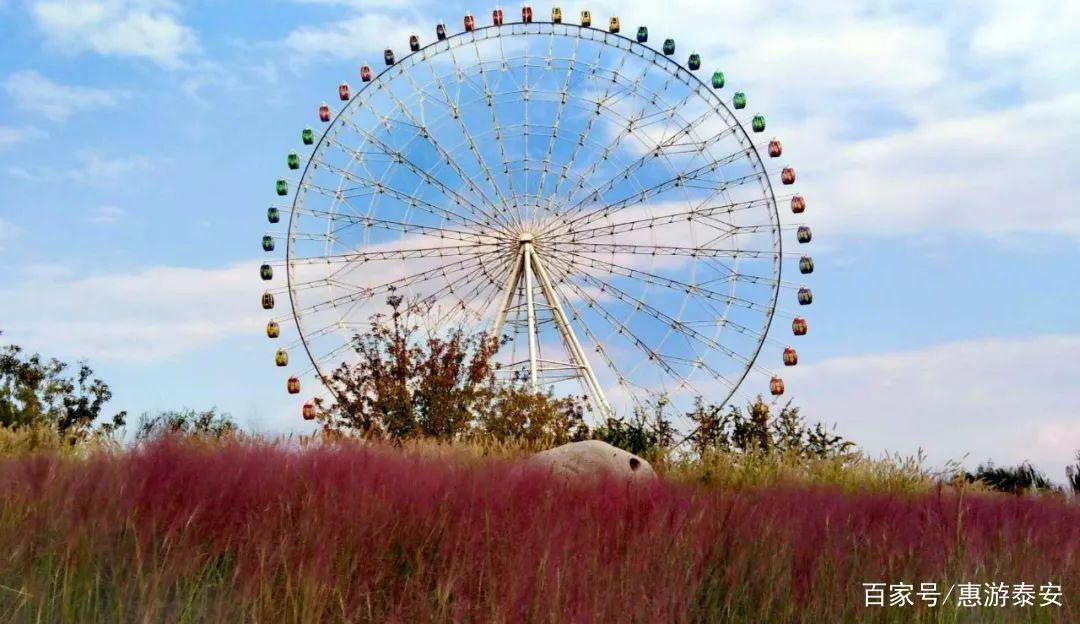 泰山天颐湖景区网红动漫嘉年华·十一震撼来袭！