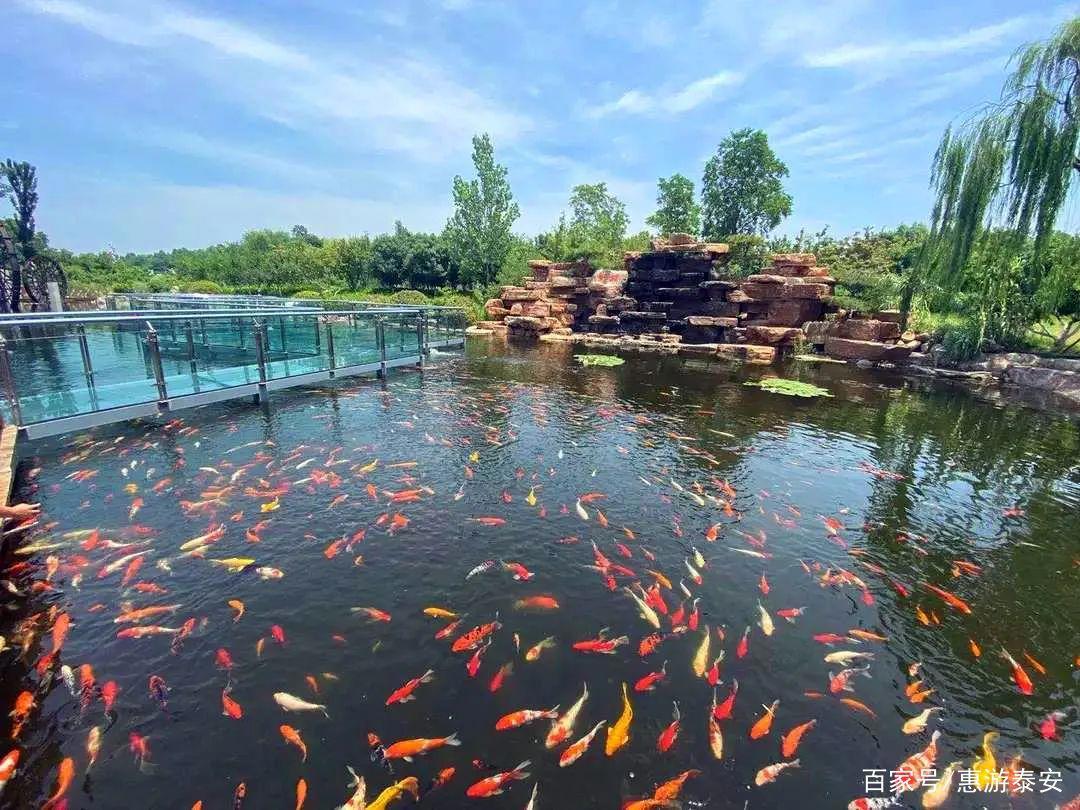 泰山天颐湖景区网红动漫嘉年华·十一震撼来袭！