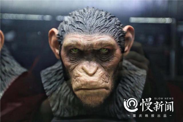 重庆开了家玩具博物馆：玩具收藏，玩的也是文化