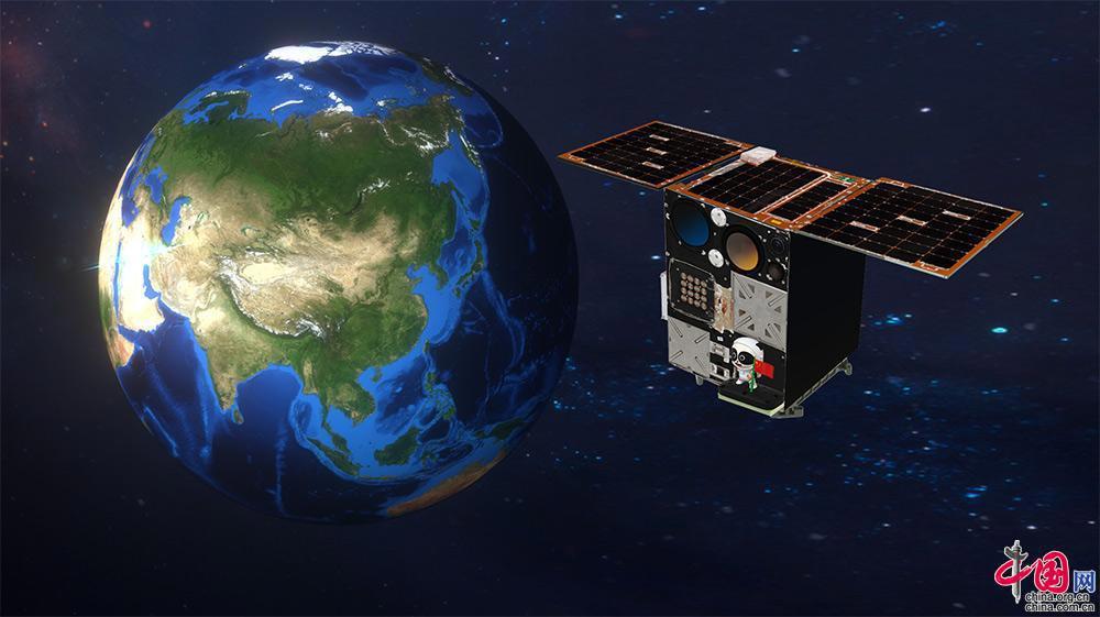 全球首个“太空熊猫”首飞太空将与地球“合影”「组图」