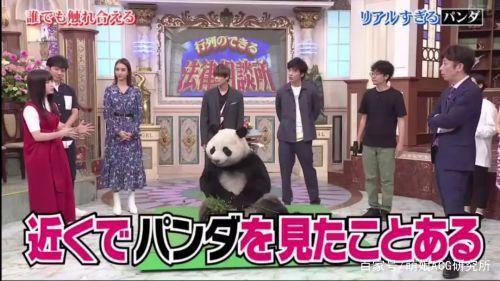 日本节目迷惑人：难道动物园里的熊猫都是人扮演的？
