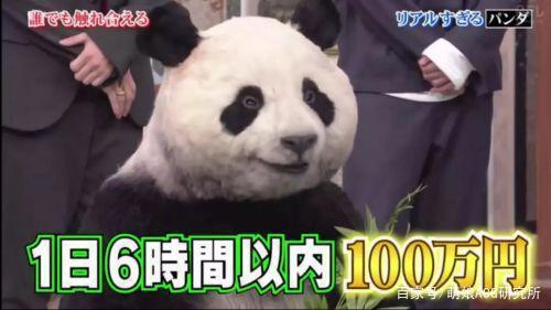 日本节目迷惑人：难道动物园里的熊猫都是人扮演的？