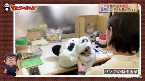 日本节目迷惑人：难道动物园里的熊猫都是人扮演的？