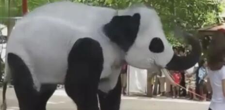 我们的滚滚是如何征服世界的？