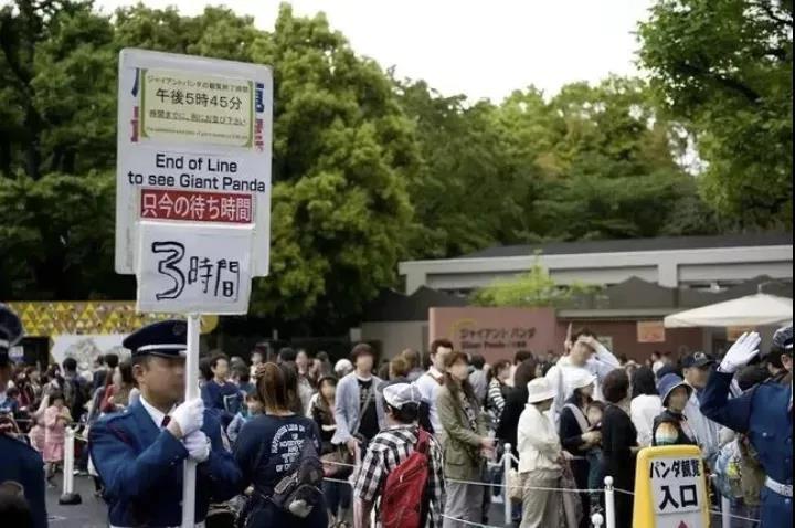 再留几天行吗？日本舍不得大熊猫回中国