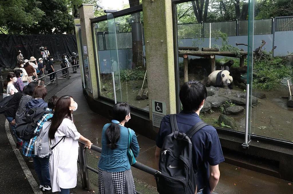 再留几天行吗？日本舍不得大熊猫回中国