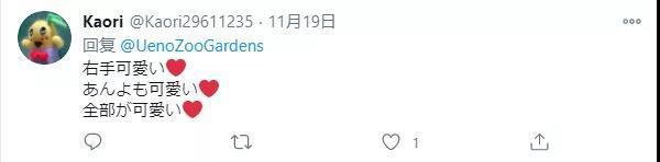 再留几天行吗？日本舍不得大熊猫回中国