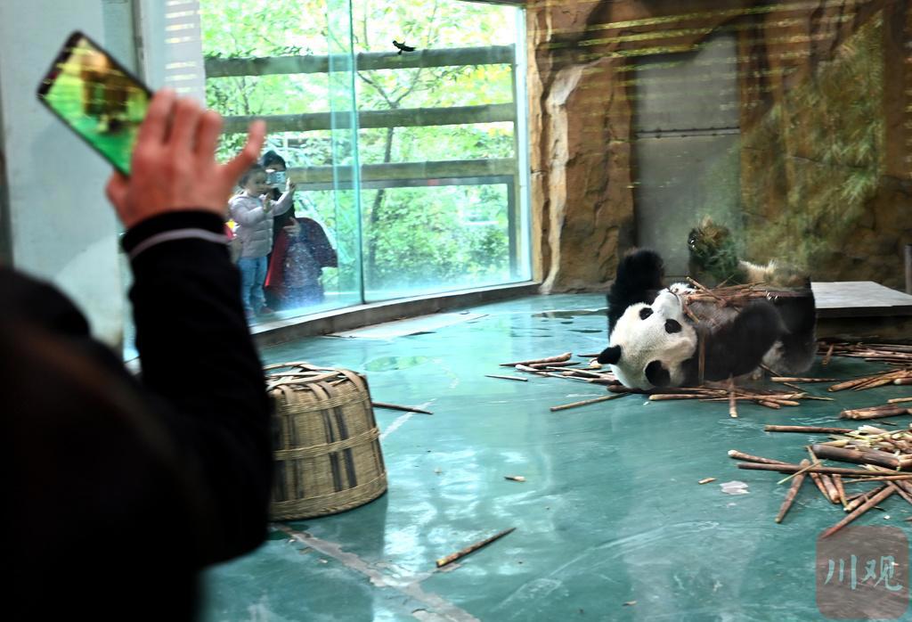 OMG！滚滚de尾巴，真的是白的？！