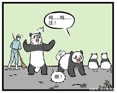 非人哉：哮天犬假扮大熊猫，让十一月担心不已，然而他却露馅了