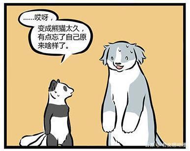 非人哉：哮天犬假扮大熊猫，让十一月担心不已，然而他却露馅了